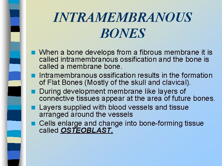 INTRAMEMBRANOUS BONES n n n When a bone develops from a fibrous membrane it