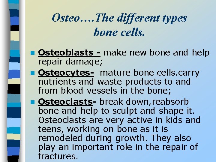 Osteo…. The different types bone cells. Osteoblasts - make new bone and help repair