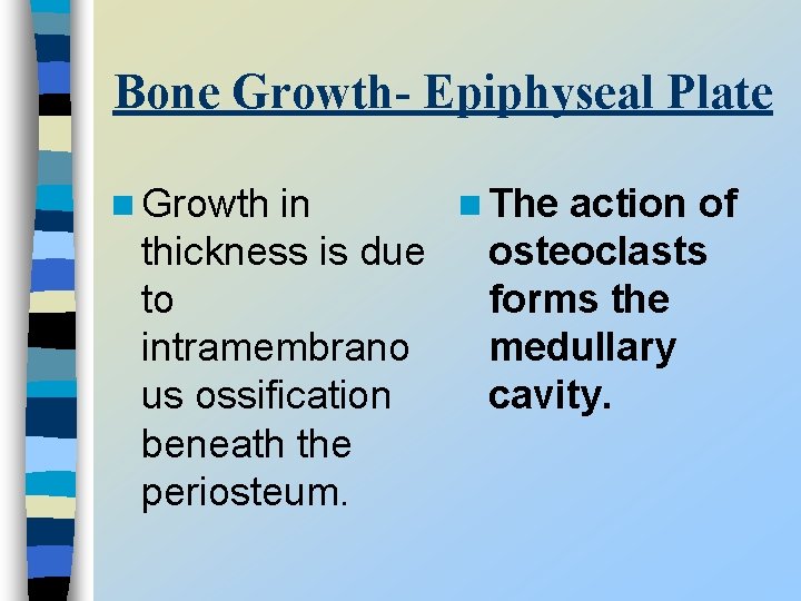 Bone Growth- Epiphyseal Plate n Growth in n The action of thickness is due