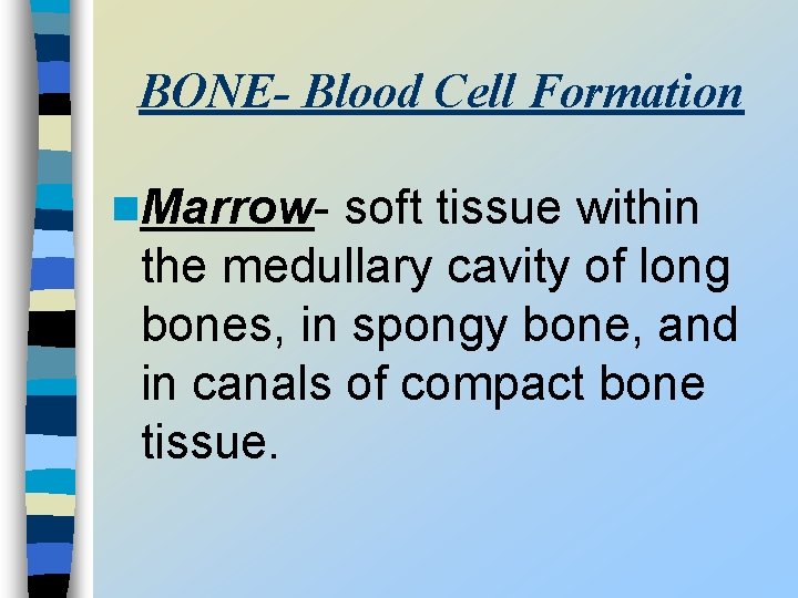 BONE- Blood Cell Formation n. Marrow- soft tissue within the medullary cavity of long