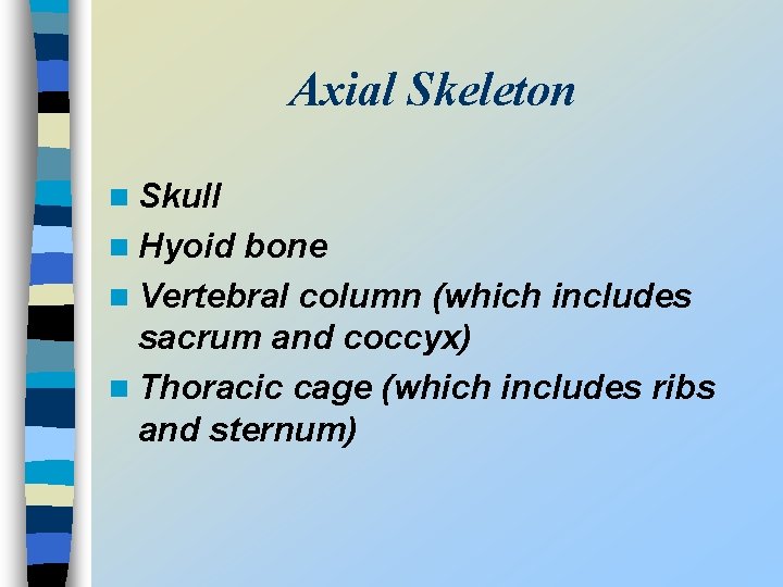 Axial Skeleton n Skull n Hyoid bone n Vertebral column (which includes sacrum and