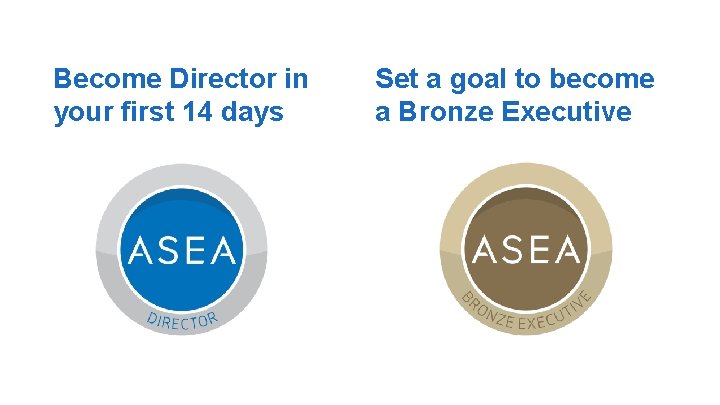 Become Director in your first 14 days Set a goal to become a Bronze