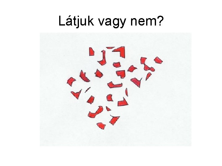 Látjuk vagy nem? 