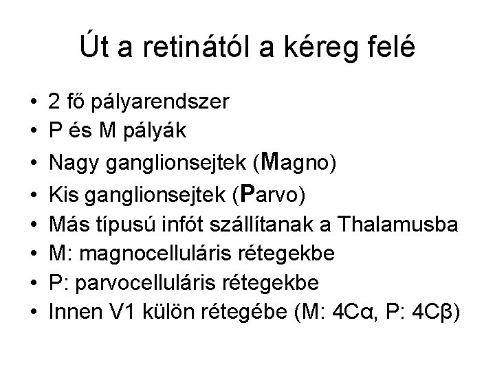 Út a retinától a kéreg felé • • 2 fő pályarendszer P és M