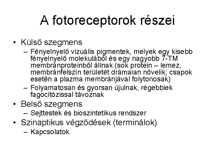 A fotoreceptorok részei • Külső szegmens – Fényelő vizuális pigmentek, melyek egy kisebb fényelő