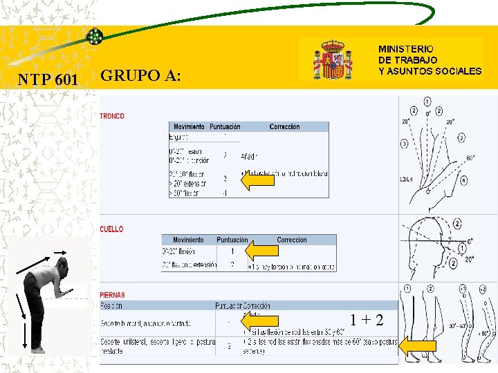 NTP 601 GRUPO A: 1+2 