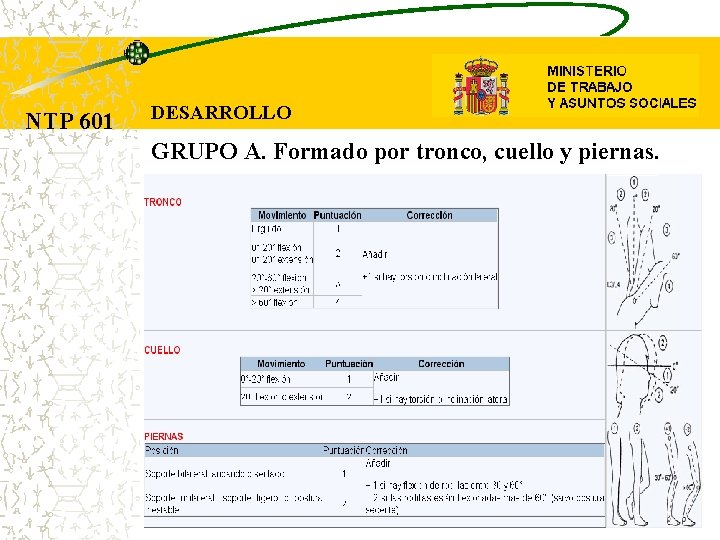 NTP 601 DESARROLLO GRUPO A. Formado por tronco, cuello y piernas. 