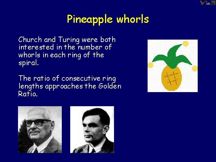 Pineapple whorls Church and Turing were both interested in the number of whorls in