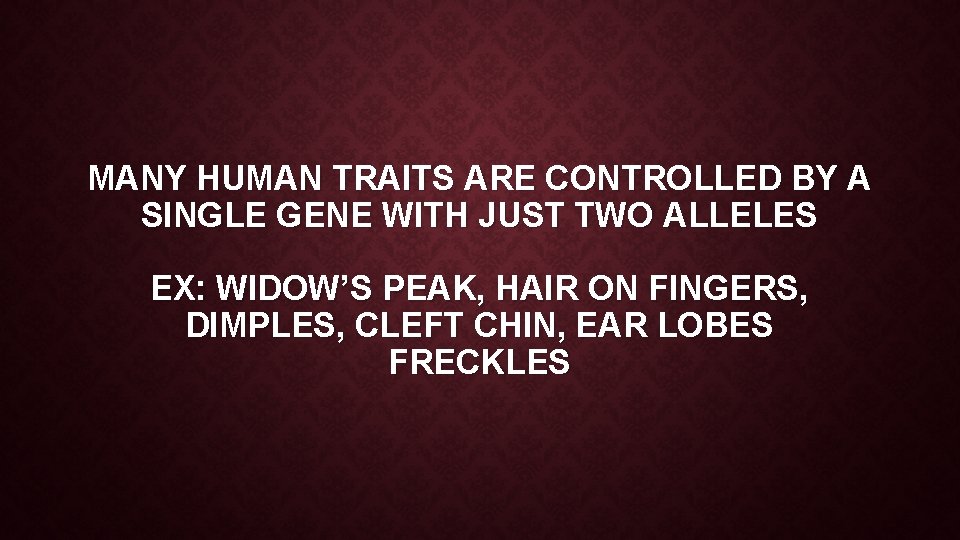 MANY HUMAN TRAITS ARE CONTROLLED BY A SINGLE GENE WITH JUST TWO ALLELES EX: