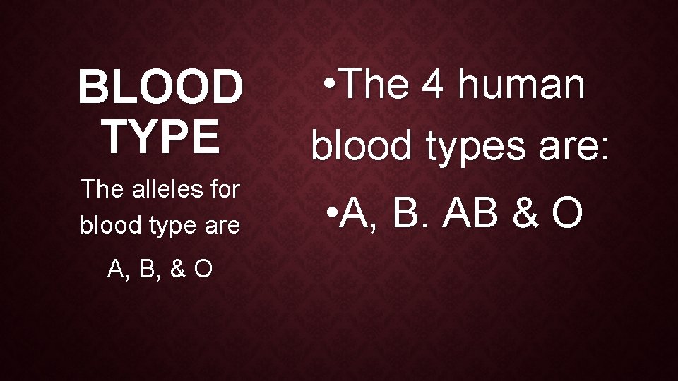 BLOOD TYPE • The 4 human blood types are: The alleles for blood type
