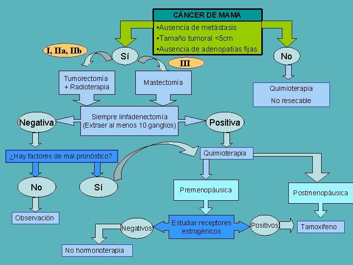 CÁNCER DE MAMA I, IIa, IIb • Ausencia de metástasis • Tamaño tumoral <5