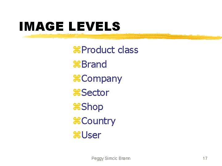 IMAGE LEVELS z. Product class z. Brand z. Company z. Sector z. Shop z.