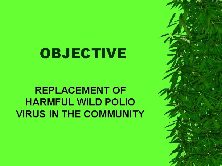 OBJECTIVE REPLACEMENT OF HARMFUL WILD POLIO VIRUS IN THE COMMUNITY 