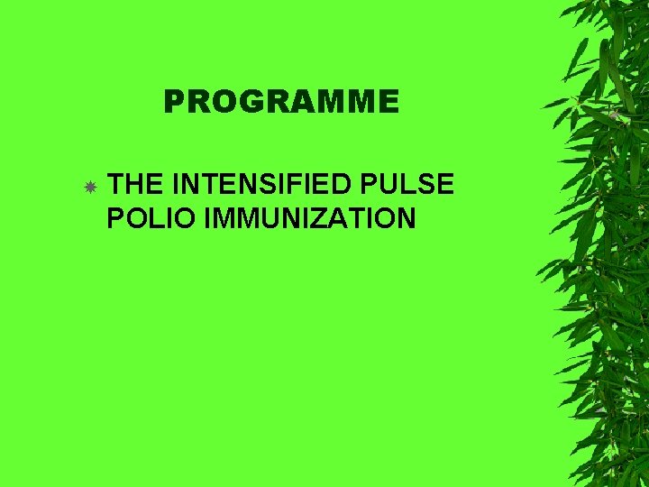 PROGRAMME THE INTENSIFIED PULSE POLIO IMMUNIZATION 