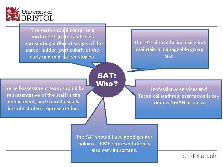 The team should comprise a mixture of grades and roles representing different stages of