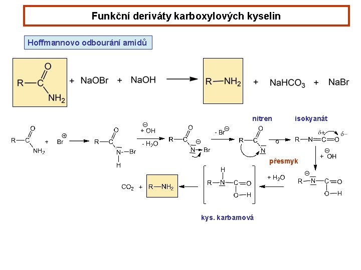 Funkční deriváty karboxylových kyselin Hoffmannovo odbourání amidů nitren isokyanát přesmyk kys. karbamová 