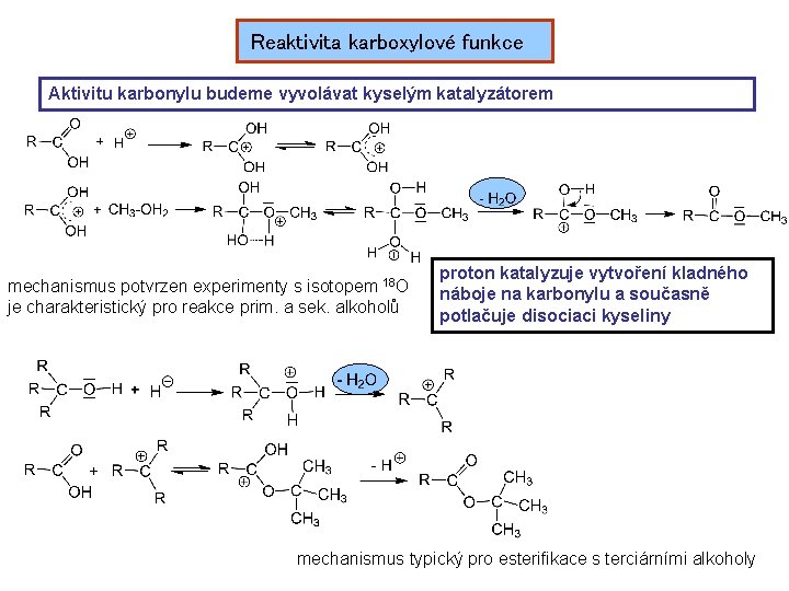 Reaktivita karboxylové funkce Aktivitu karbonylu budeme vyvolávat kyselým katalyzátorem mechanismus potvrzen experimenty s isotopem
