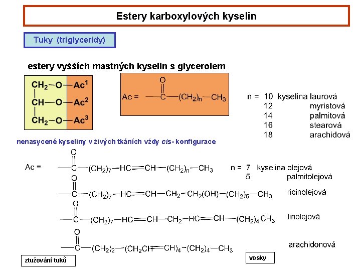Estery karboxylových kyselin Tuky (triglyceridy) estery vyšších mastných kyselin s glycerolem nenasycené kyseliny v