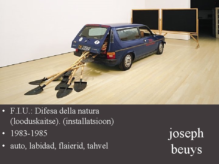  • F. I. U. : Difesa della natura (looduskaitse). (installatsioon) • 1983 -1985