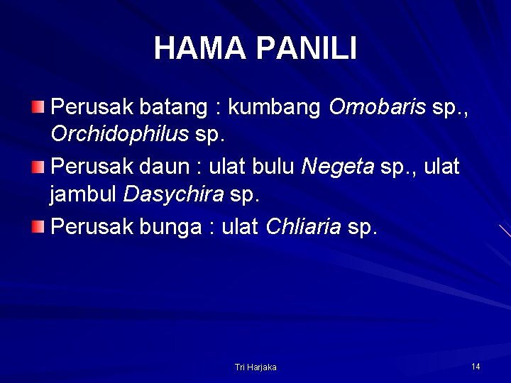 HAMA PANILI Perusak batang : kumbang Omobaris sp. , Orchidophilus sp. Perusak daun :