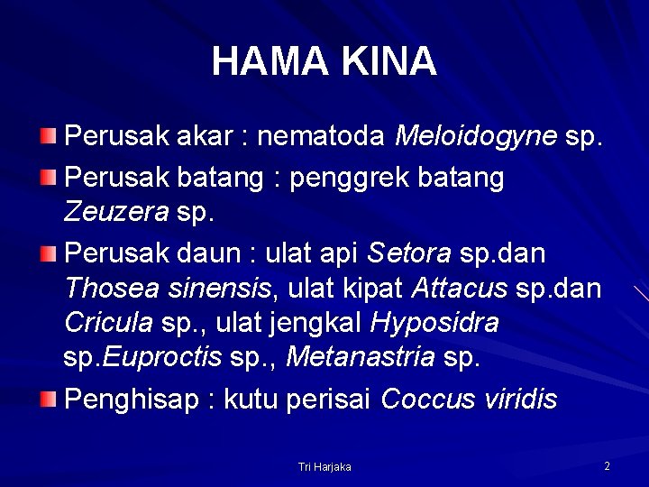 HAMA KINA Perusak akar : nematoda Meloidogyne sp. Perusak batang : penggrek batang Zeuzera