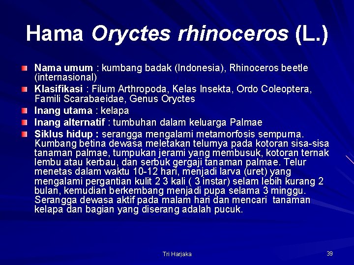 Hama Oryctes rhinoceros (L. ) Nama umum : kumbang badak (Indonesia), Rhinoceros beetle (internasional)