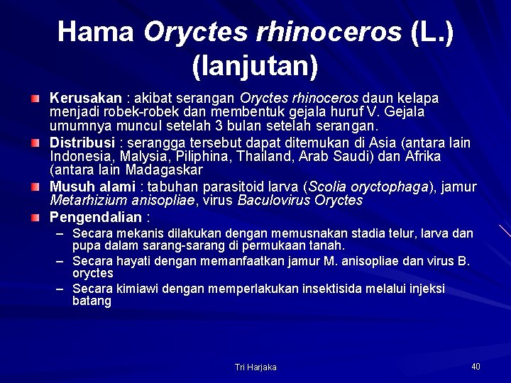 Hama Oryctes rhinoceros (L. ) (lanjutan) Kerusakan : akibat serangan Oryctes rhinoceros daun kelapa