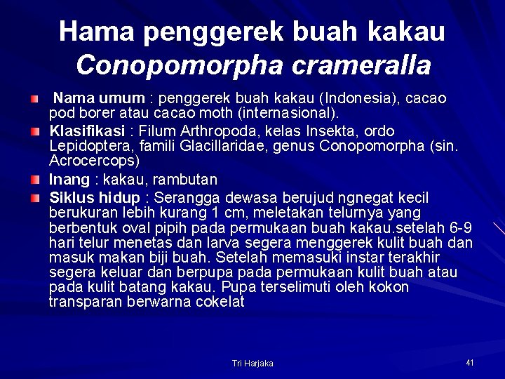 Hama penggerek buah kakau Conopomorpha crameralla Nama umum : penggerek buah kakau (Indonesia), cacao