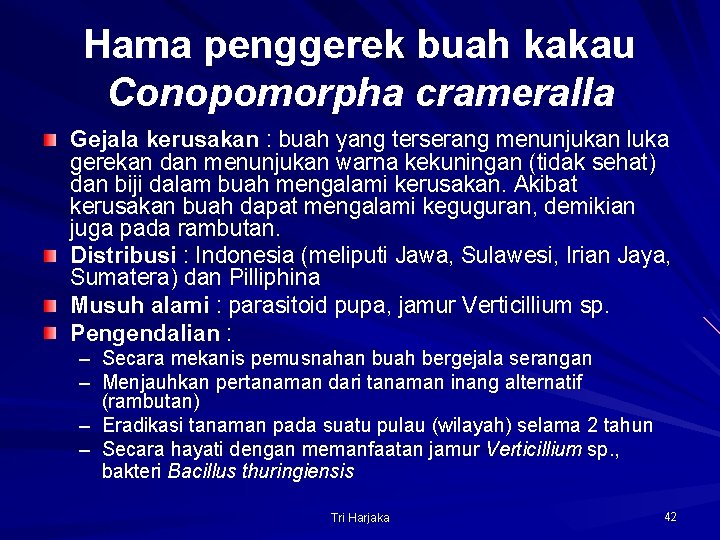 Hama penggerek buah kakau Conopomorpha crameralla Gejala kerusakan : buah yang terserang menunjukan luka