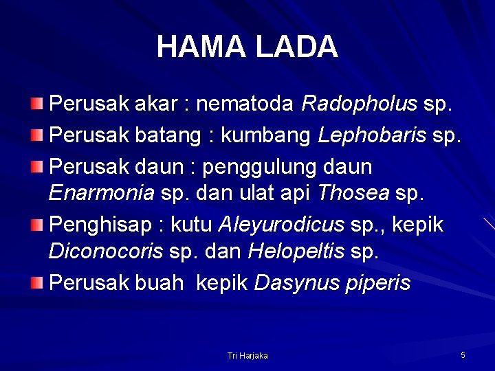 HAMA LADA Perusak akar : nematoda Radopholus sp. Perusak batang : kumbang Lephobaris sp.