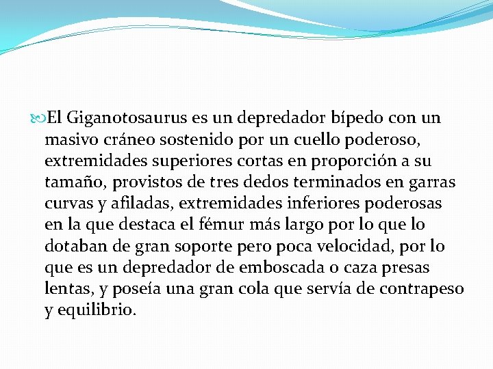  El Giganotosaurus es un depredador bípedo con un masivo cráneo sostenido por un