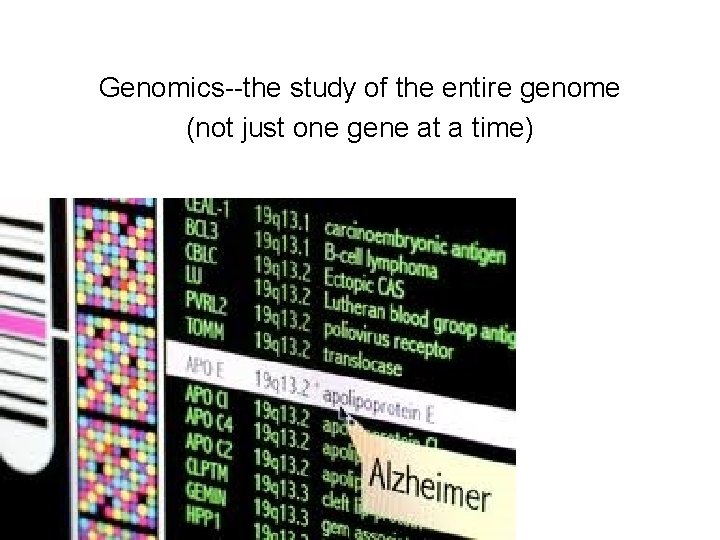 Genomics--the study of the entire genome (not just one gene at a time) 