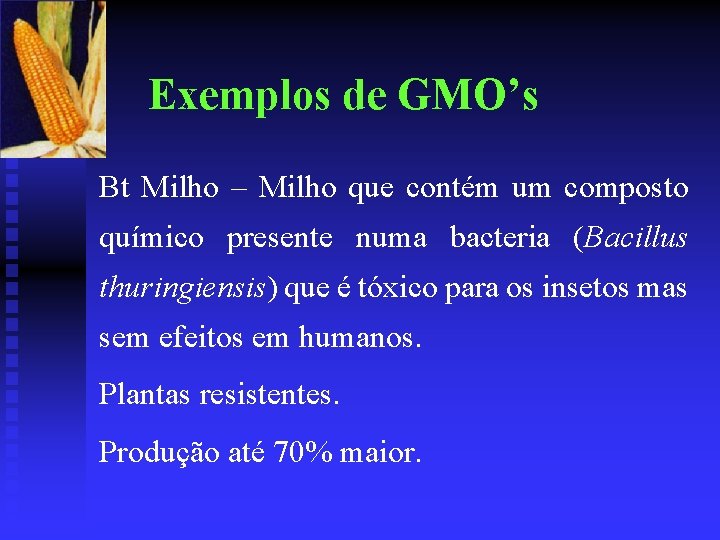 Exemplos de GMO’s Bt Milho – Milho que contém um composto químico presente numa