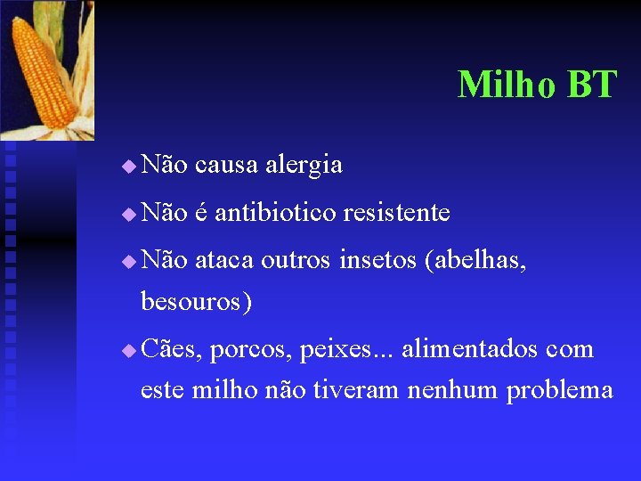 Milho BT u Não causa alergia u Não é antibiotico resistente u u Não