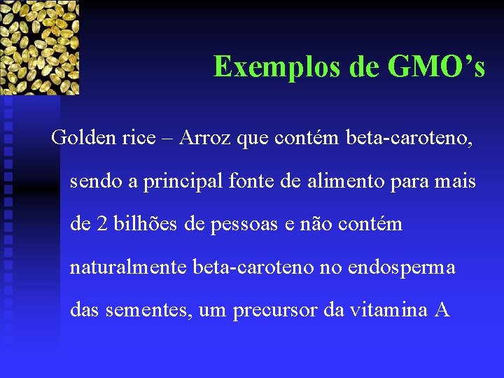 Exemplos de GMO’s Golden rice – Arroz que contém beta-caroteno, sendo a principal fonte