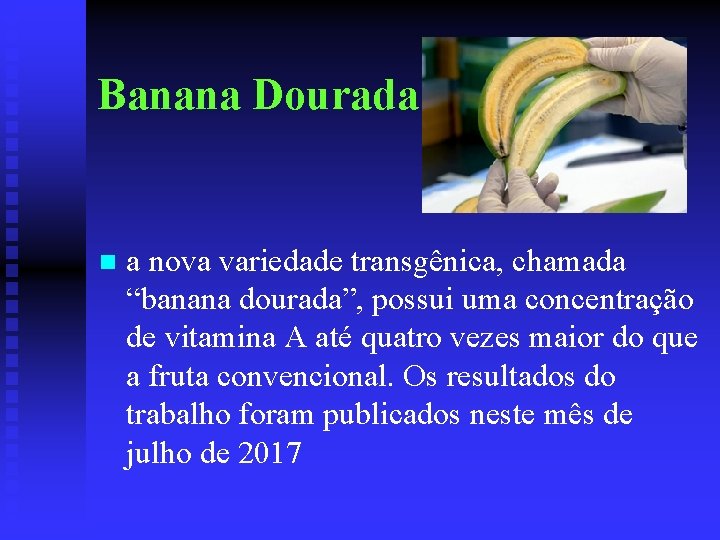 Banana Dourada n a nova variedade transgênica, chamada “banana dourada”, possui uma concentração de