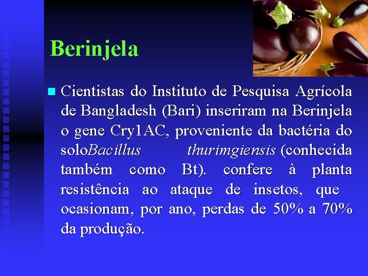 Berinjela n Cientistas do Instituto de Pesquisa Agrícola de Bangladesh (Bari) inseriram na Berinjela