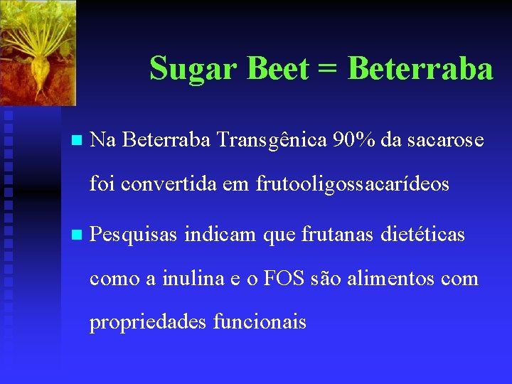 Sugar Beet = Beterraba n Na Beterraba Transgênica 90% da sacarose foi convertida em