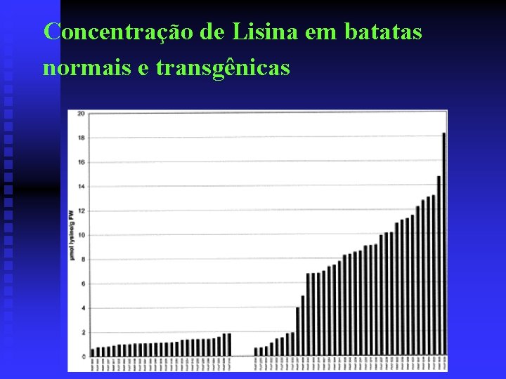 Concentração de Lisina em batatas normais e transgênicas 