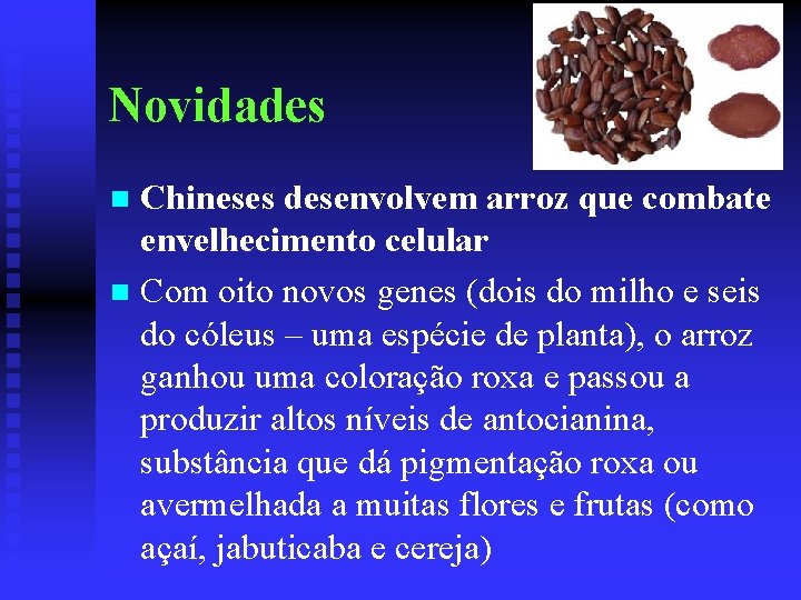 Novidades Chineses desenvolvem arroz que combate envelhecimento celular n Com oito novos genes (dois