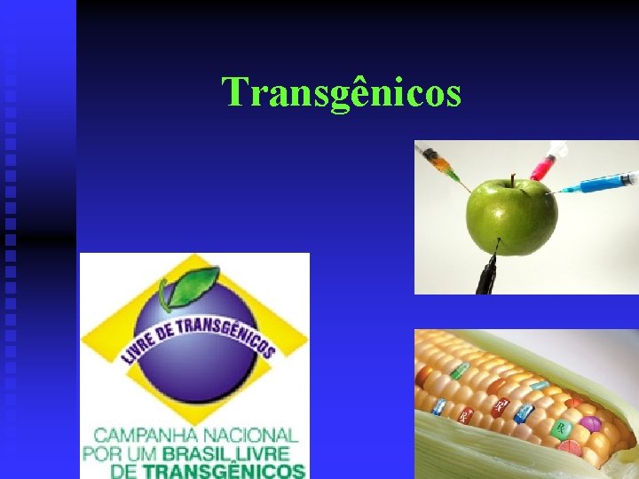 Transgênicos 