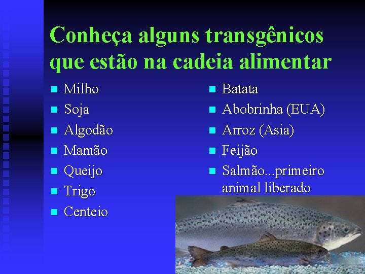 Conheça alguns transgênicos que estão na cadeia alimentar n n n n Milho Soja