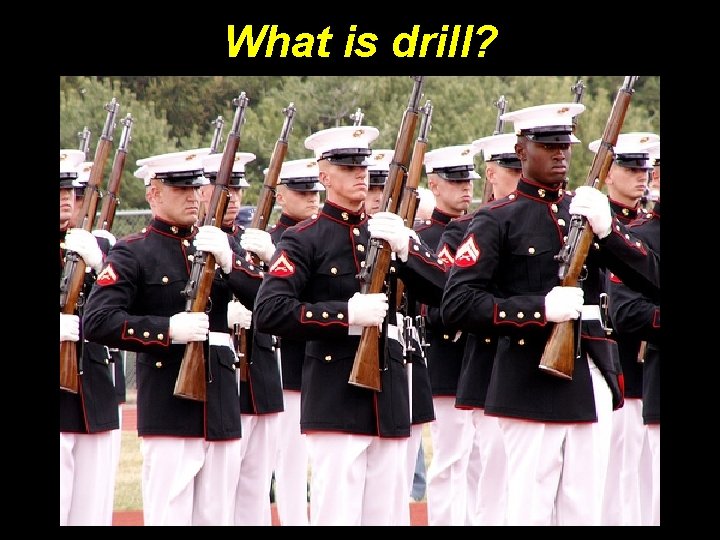 What is drill? What is drill?
