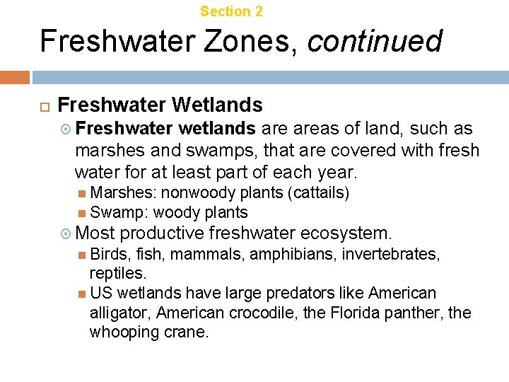 Chapter 21 Section 2 Aquatic Ecosystems Freshwater Zones, continued Freshwater Wetlands Freshwater wetlands areas