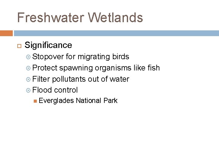 Freshwater Wetlands Significance Stopover for migrating birds Protect spawning organisms like fish Filter pollutants
