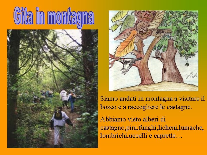 Siamo andati in montagna a visitare il bosco e a raccogliere le castagne. Abbiamo