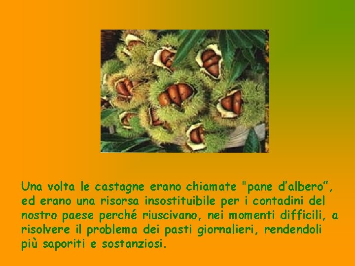 Una volta le castagne erano chiamate "pane d’albero”, ed erano una risorsa insostituibile per