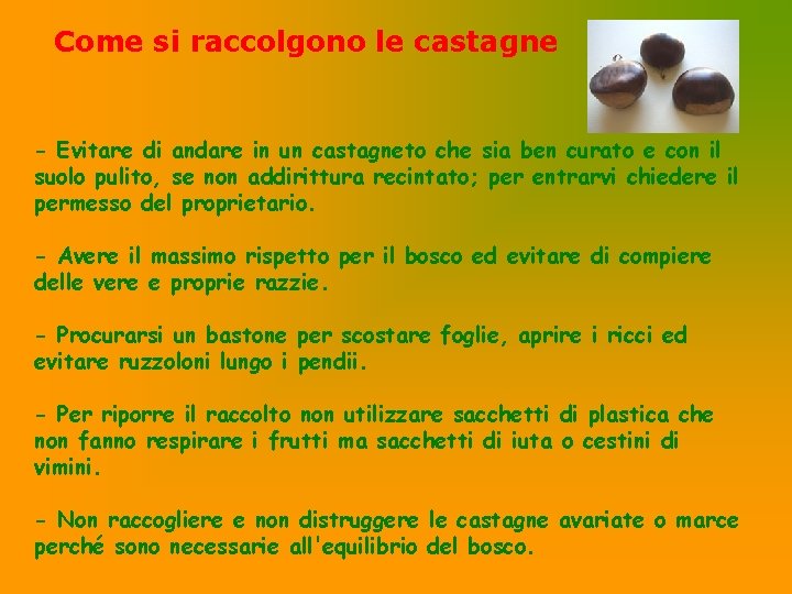 Come si raccolgono le castagne - Evitare di andare in un castagneto che sia