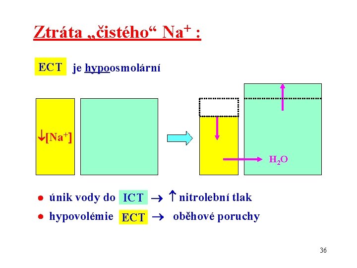 Ztráta „čistého“ Na+ : ECT je hypoosmolární [Na+ H 2 O únik vody do