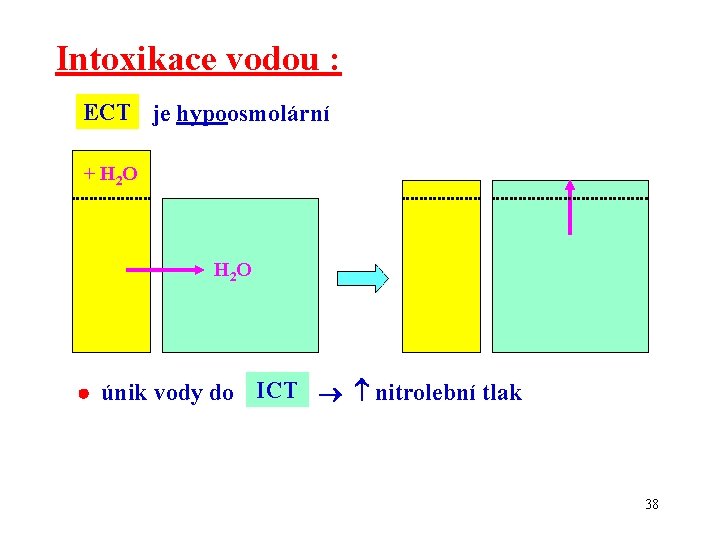 Intoxikace vodou : ECT je hypoosmolární + H 2 O H 2 O únik